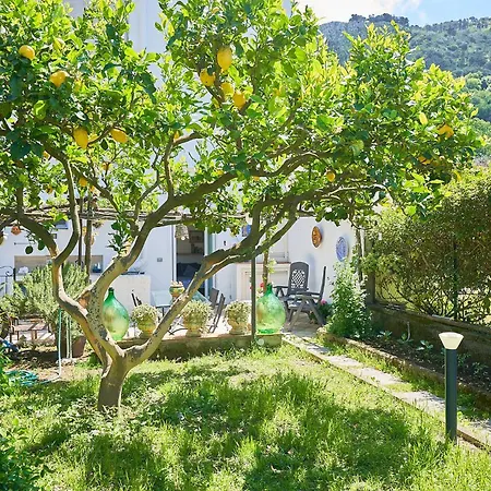 Il Cellaio Guest house Anacapri (Isola di Capri)