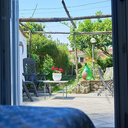 Il Cellaio Guest house Anacapri (Isola di Capri)